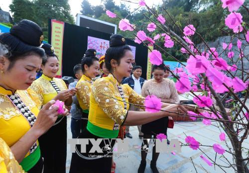 Tưng bừng các hoạt động vui Xuân Mậu Tuất tại các địa phương